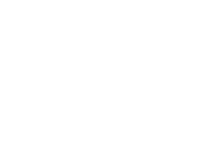 dhanfinserv logo white